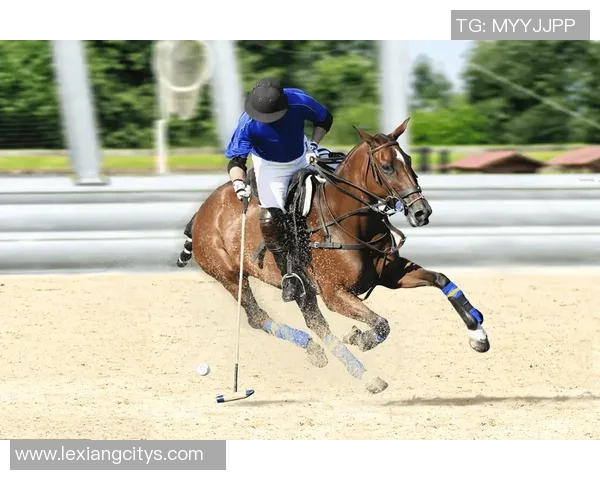 马球足球天才崛起 探秘全球马术与足球双料巨星的非凡之路 马球足球天才崛起 探秘全球马术与足球双料巨星的非凡之路
